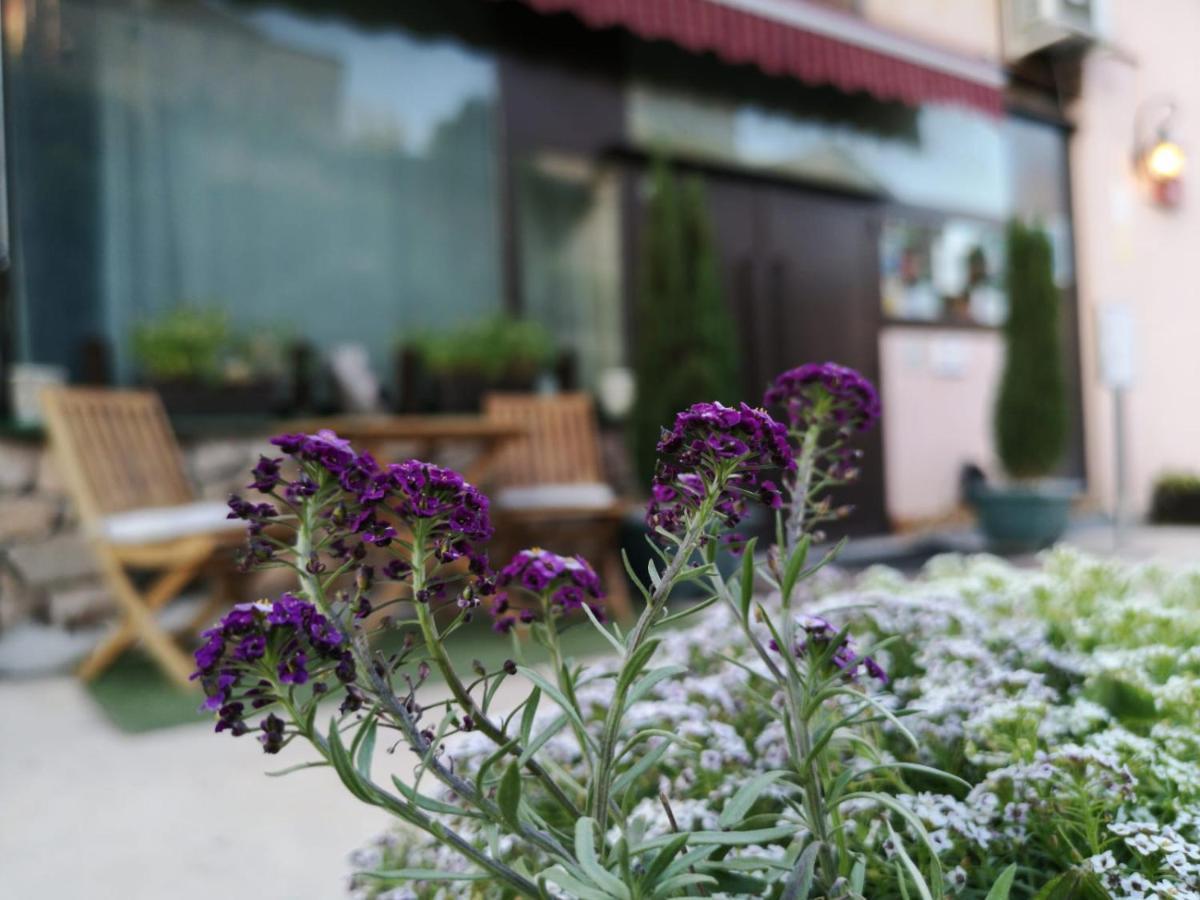 Hotel Cardamomo Sigueenza
